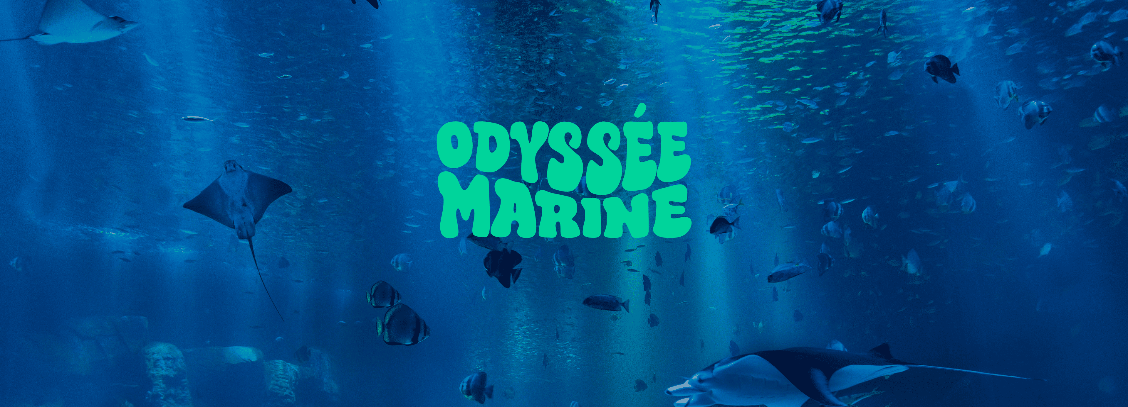 Odyssée Marine